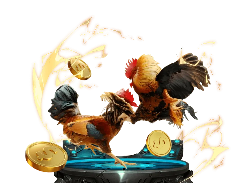 Các quyền của người dùng theo GDPR tại tin888